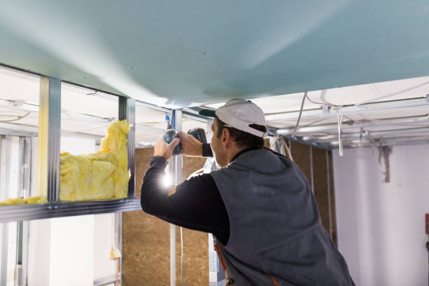 Types of Insulation We Offer in Southchase, FL