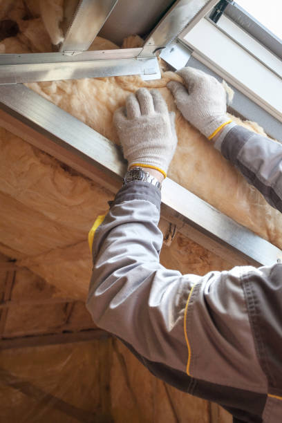 Best Blown-in Insulation in Southchase, FL